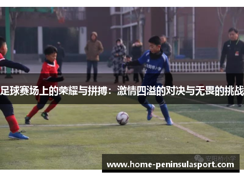 足球赛场上的荣耀与拼搏:激情四溢的对决与无畏的挑战